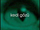 kedi1.jpg kedi1.jpg